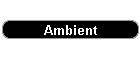 Ambient