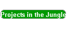 Projects in the Jungle
