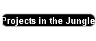 Projects in the Jungle