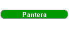 Pantera