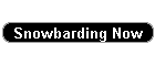 Snowbarding Now