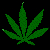 hempmovie.gif (19899 bytes)