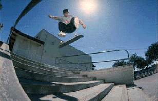 new.jpg (10761 bytes)