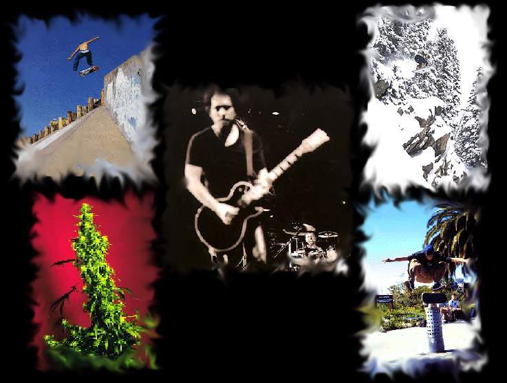 zacetek.jpg (75328 bytes)